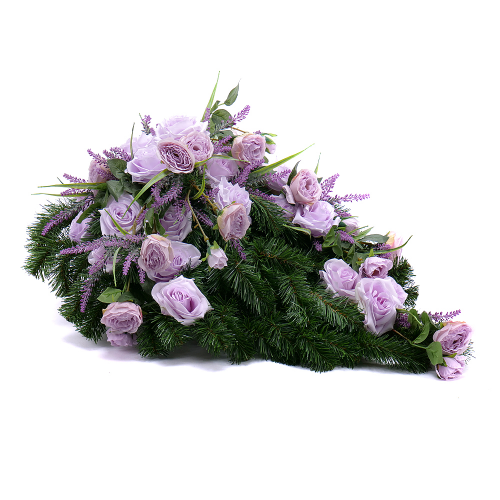 Irigo smuteční slza fialové květy