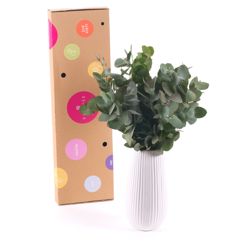 DIY kytice - Eukalyptus Cinerea do vázy