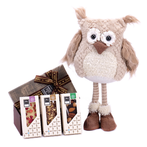 Dárkový set sova s ​​čokoládou