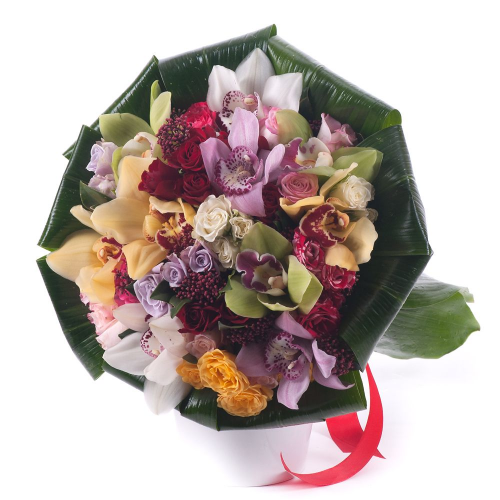 Lady barevné trsové růže a orchideje