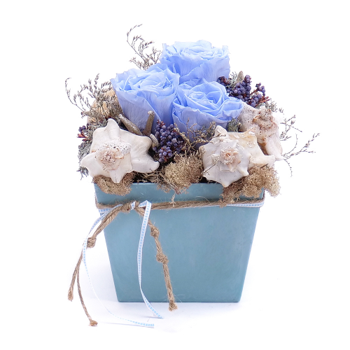Irigo modrý flower box a In eterno modré růže mušle
