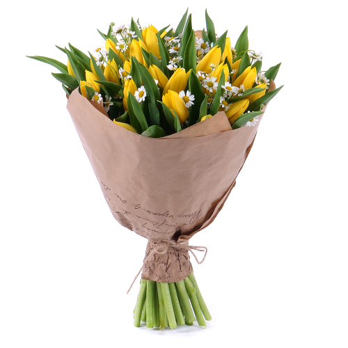 Sweet žluté tulipány s heřmánky