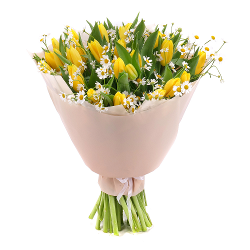 Sweet žluté tulipány s heřmánky