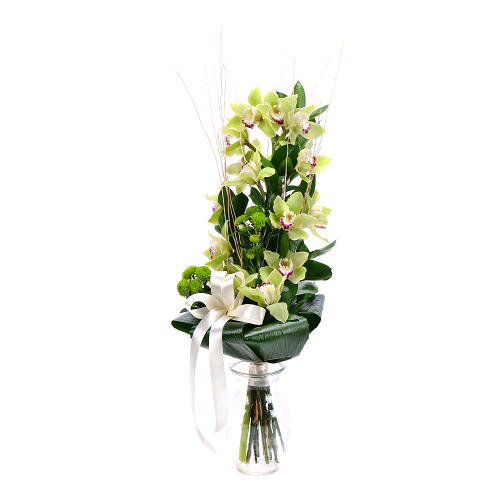 Orchidej zelená na vysoko