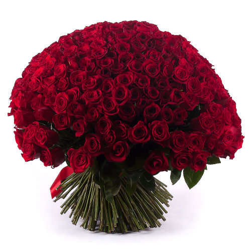 Amore červené růže 250