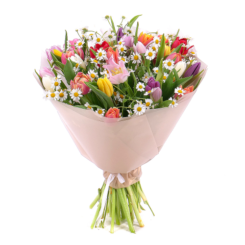 Sweet barevné tulipány s heřmánky