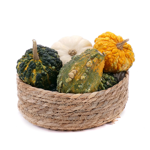 Okrasné tykve v ratanovém obalu