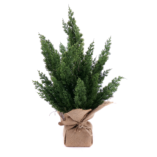 Umělá thuja v jutovém obalu