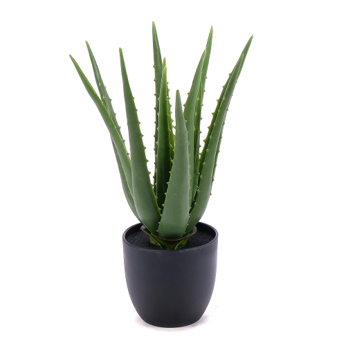 Irigo umělé aloe vera v květináči