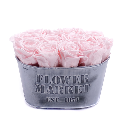 In eterno plechový box ovál 12 růží pink champagne