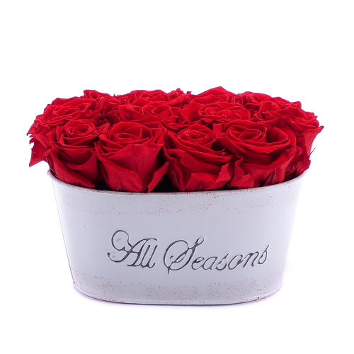In eterno plechový box ovál 12 rudých růží