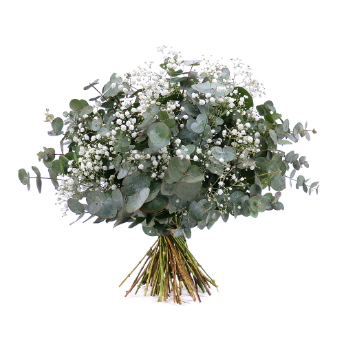 Nature Kytice eukalypt s gypsophilou