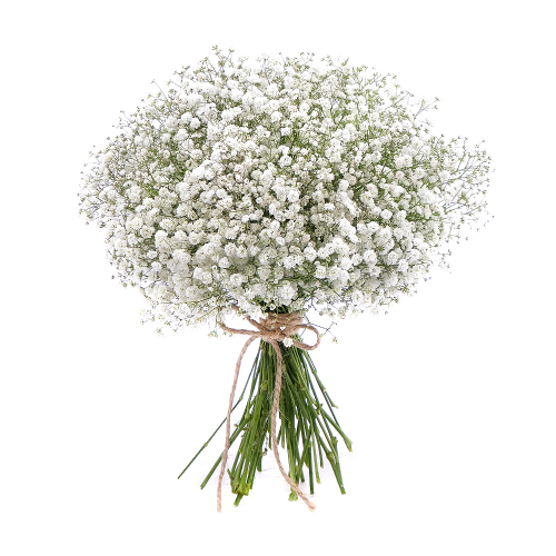 Kytice gypsophila