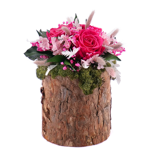 In eterno dřevěný box růže Monalisa pink framboise