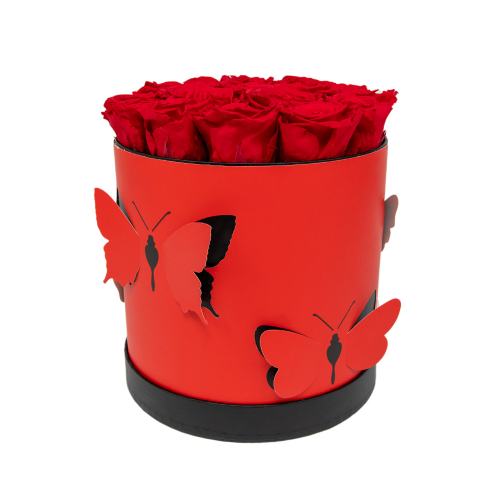In eterno červený kulatý box motýli "M" 18 červených růží