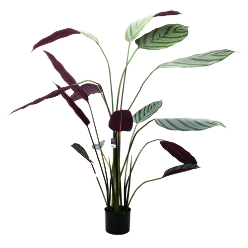 Calathea v kvetináči 140cm umelá