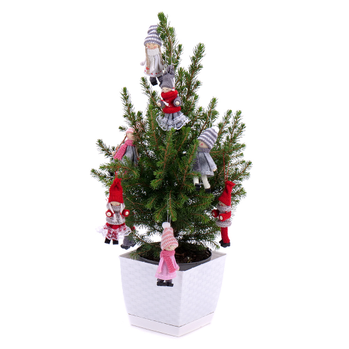 Živý stromek v plastovém obalu s ozdobou 2