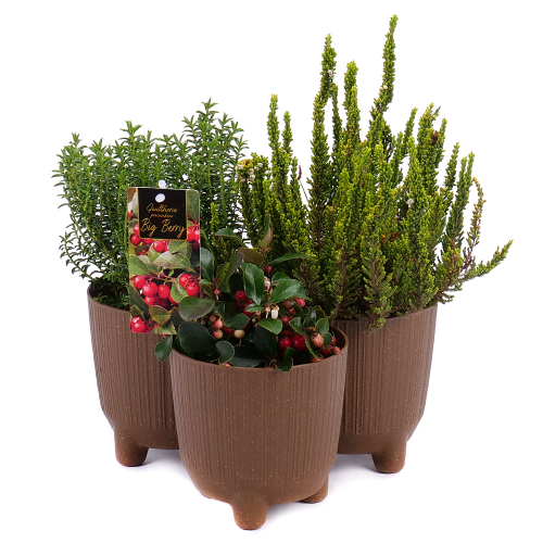 Podzimní dekorace 10