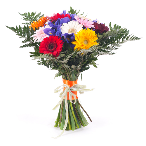 Elite barevné gerbery a irisy