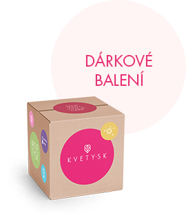 Dárkové balení
