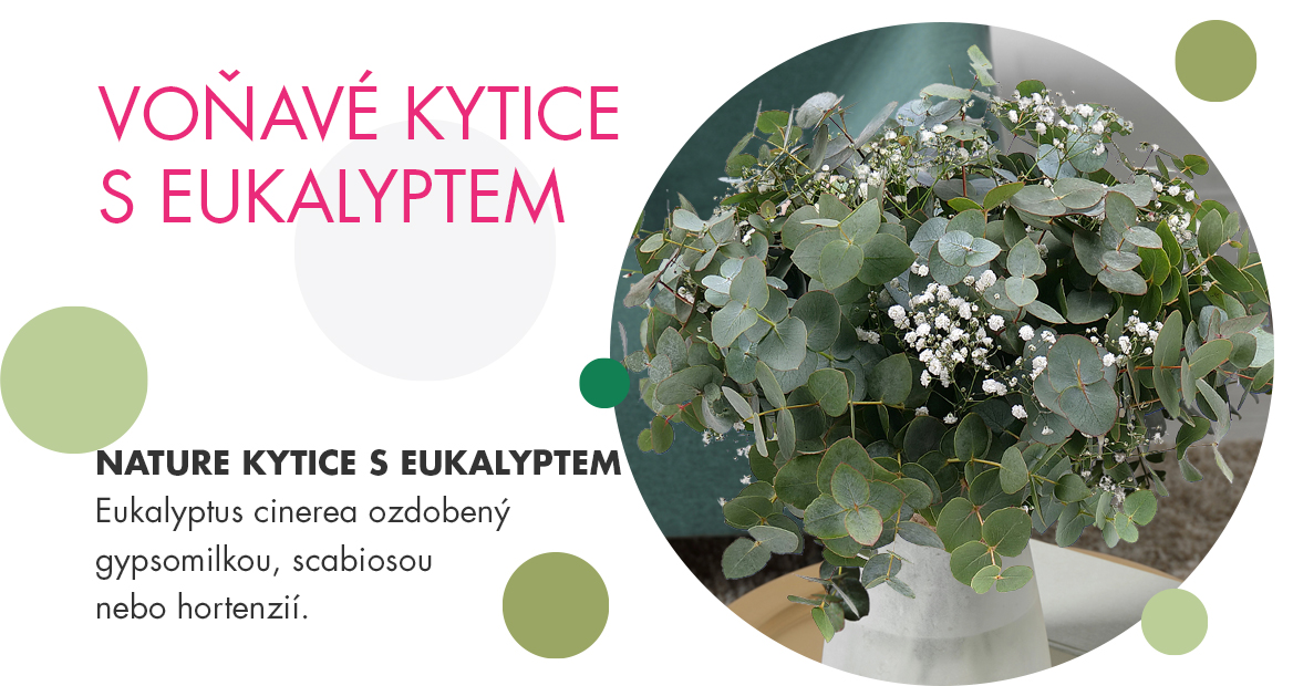 Eukalypt