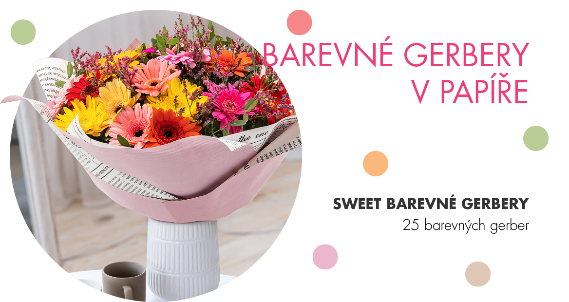 Sweet farebné gerbery